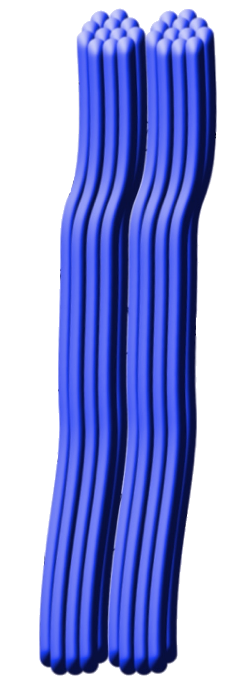 Type 2