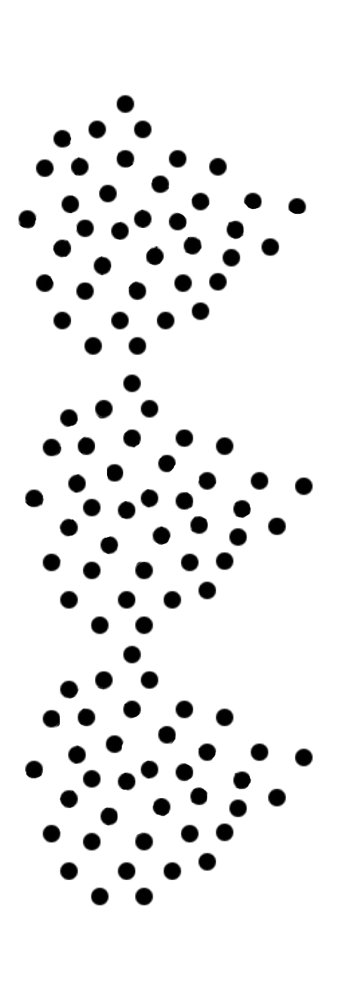 Type 4